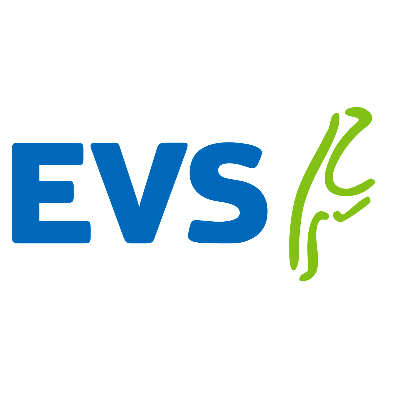 logo evs 1